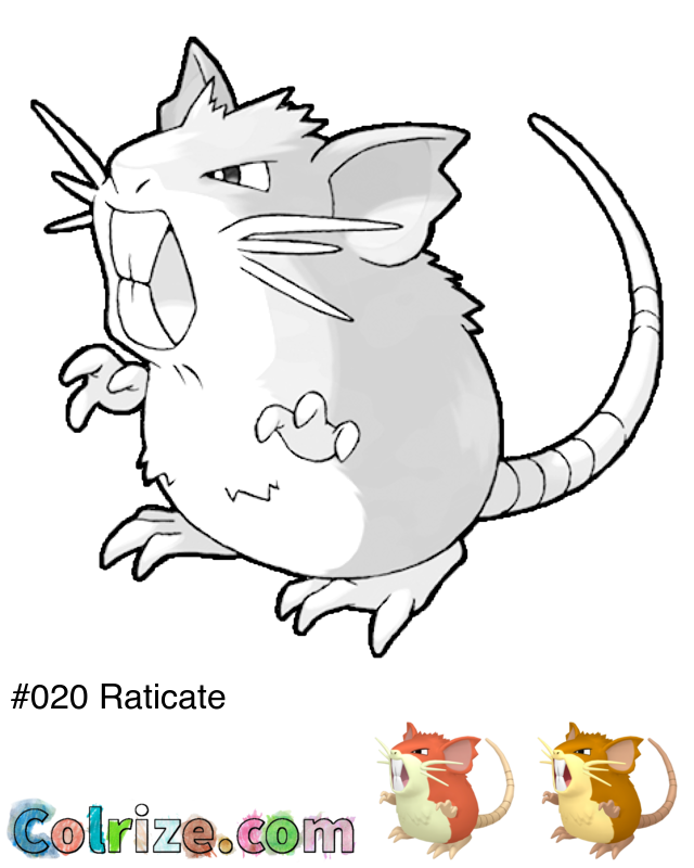 Pokemon Raticate coloring page + Shiny Raticate coloring page