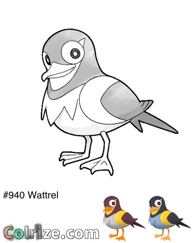 Pokemon Wattrel coloring page + Shiny Wattrel coloring page